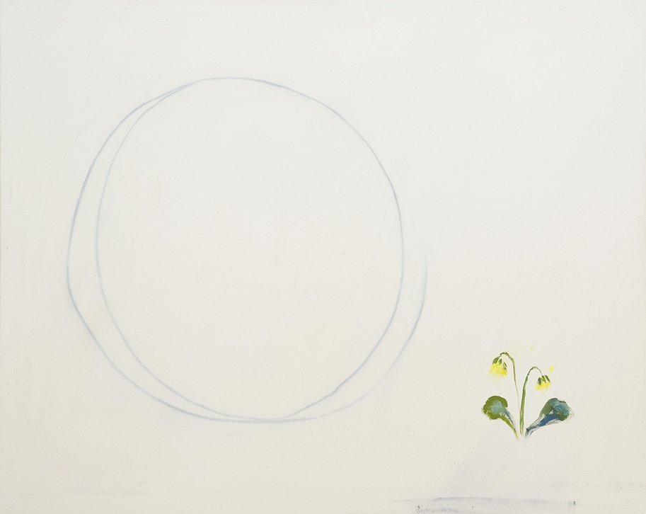 Primrose and the circle, 80 × 100 cm, 2013